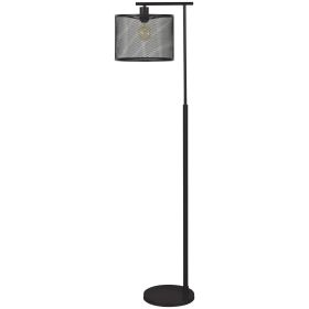 Metal Frame Floor Lamp with Caged Shade, Dark Bronze