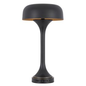 Emma 22 Inch Modern Desk Lamp, 2 USB, 1Type C Charging Port, Dark Bronze