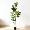 6FT Artificial Fiddle Leaf Fig Tree with Black Plastic Pot, Real Touch Fake Indoor Plant for Home Office Living Room Corner Decoration, 1pc/set