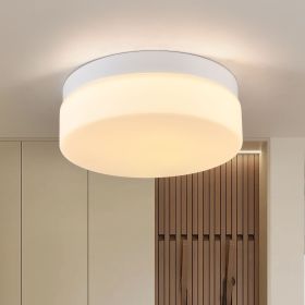 1 PACK LED Flush Mount Ceiling Light Fixture