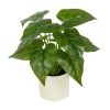 (3 pack) 10-inch x 4-inch Artificial Philodendron Leaf Plant in White Pot, Green, for Indoor Use, by