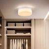 1 PACK LED Flush Mount Ceiling Light Fixture
