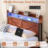 Queen-size Bed Frame with Storage Headboard, Footboard Storage Compartments and LED Lighting