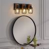 18" Industrial Vintage 3-Light Wall Sconce - Black Cage Wall Lighting Fixture with Wooden Accents for Bathroom, Hallway