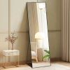 Floor Standing Mirror, Wall Mirror With Stand Aluminum Alloy Thin Frame,21'X64',Black-rect