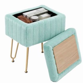 A Luxurious Seating Chair With Storage Function, A Small Oval Leather Imitation-fur Soft Cushioned Footstool, Equipped With 4 Metal Legs (Option: Mint green)