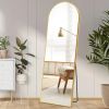 Floor Standing Mirror, Wall Mirror With Stand Aluminum Alloy Thin Frame,21'X64'