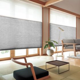 WELLSOURCE Manual Cordless Day and Night Cellular Shades Non Blackout Light Filtering Honeycomb Fabric for Home, Office, Hotel, Club (Color: Gray, size: Contact us)