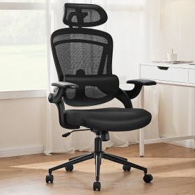 High Back Desk Chair with Adjustable Lumbar Support & Headrest,Comfortable Mesh Computer Chair with Soft Flip Up Arms, Adjustable Height and 120°Tilt (Color: Black)