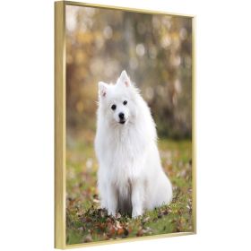 Custom Canvas Prints With Your Photos for Pet Family Photo Prints Personalized Canvas Aluminum Alloy Framed Wall Art (gold: 12*16)