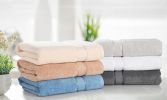 Kathy Ireland Zero Twist Cotton Plush Bath Sheet Towel