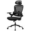 High Back Desk Chair with Adjustable Lumbar Support & Headrest,Comfortable Mesh Computer Chair with Soft Flip Up Arms, Adjustable Height and 120°Tilt