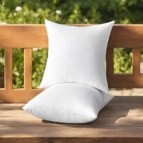 Throw Pillows (Option: 20x20 2pack)